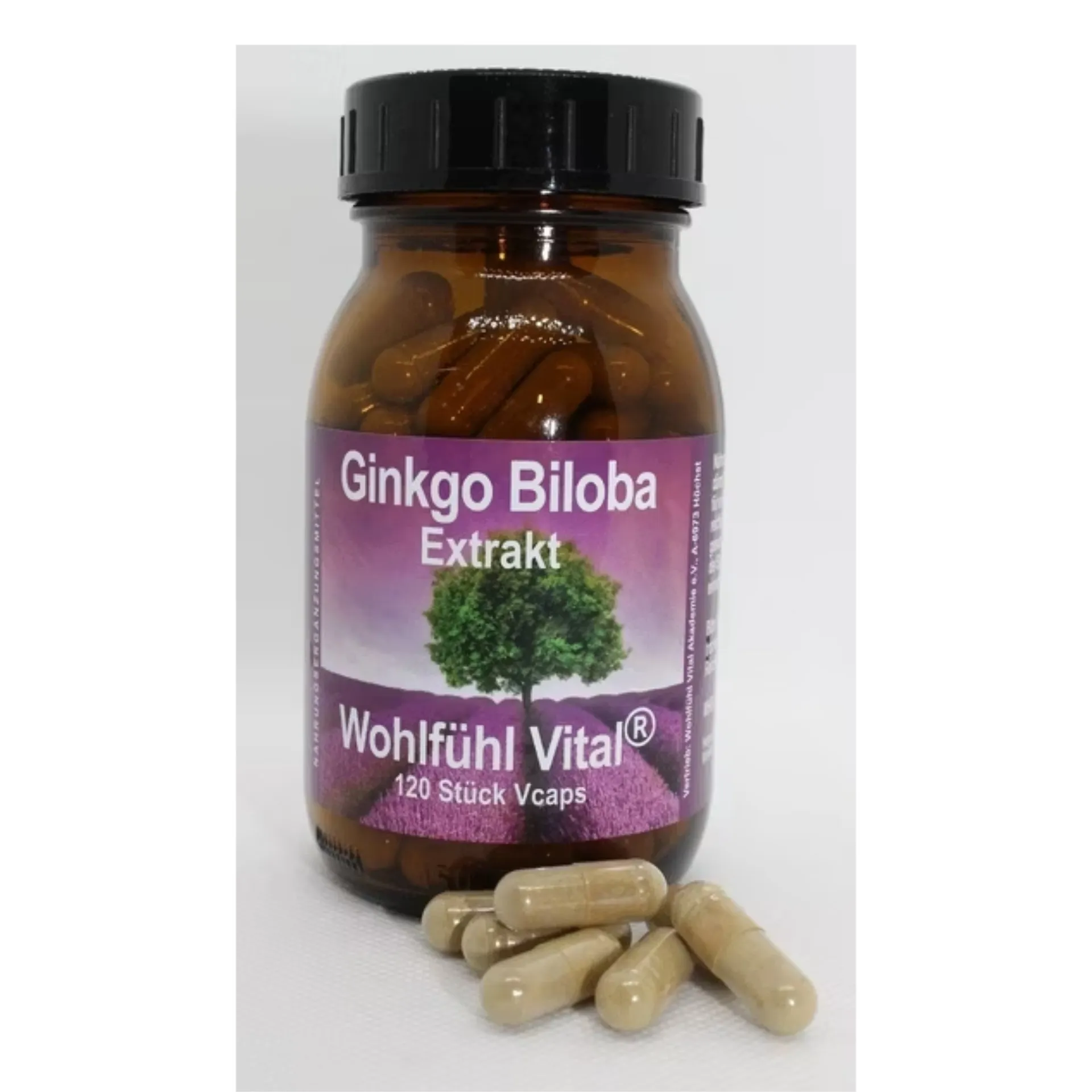 Ginkgo Biloba Extrakt, 120 Kapseln im Glas, von Wohlfühl Vital®