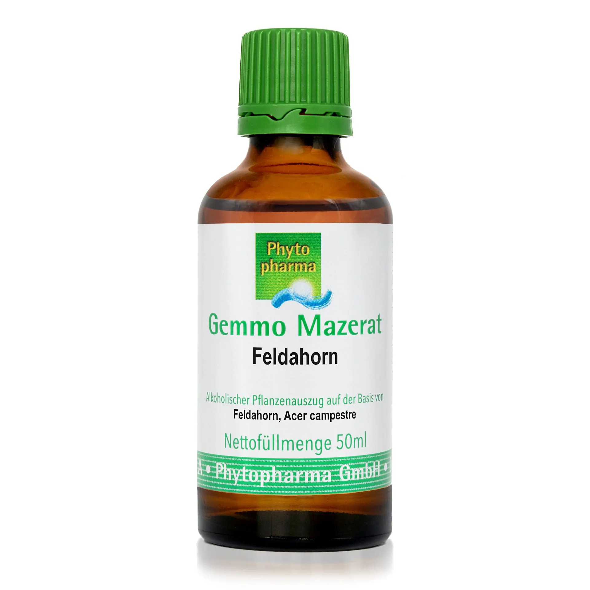 Gemmo Mazerat "Feldahorn" (Acer campestre), 50 ml, von Phytopharma