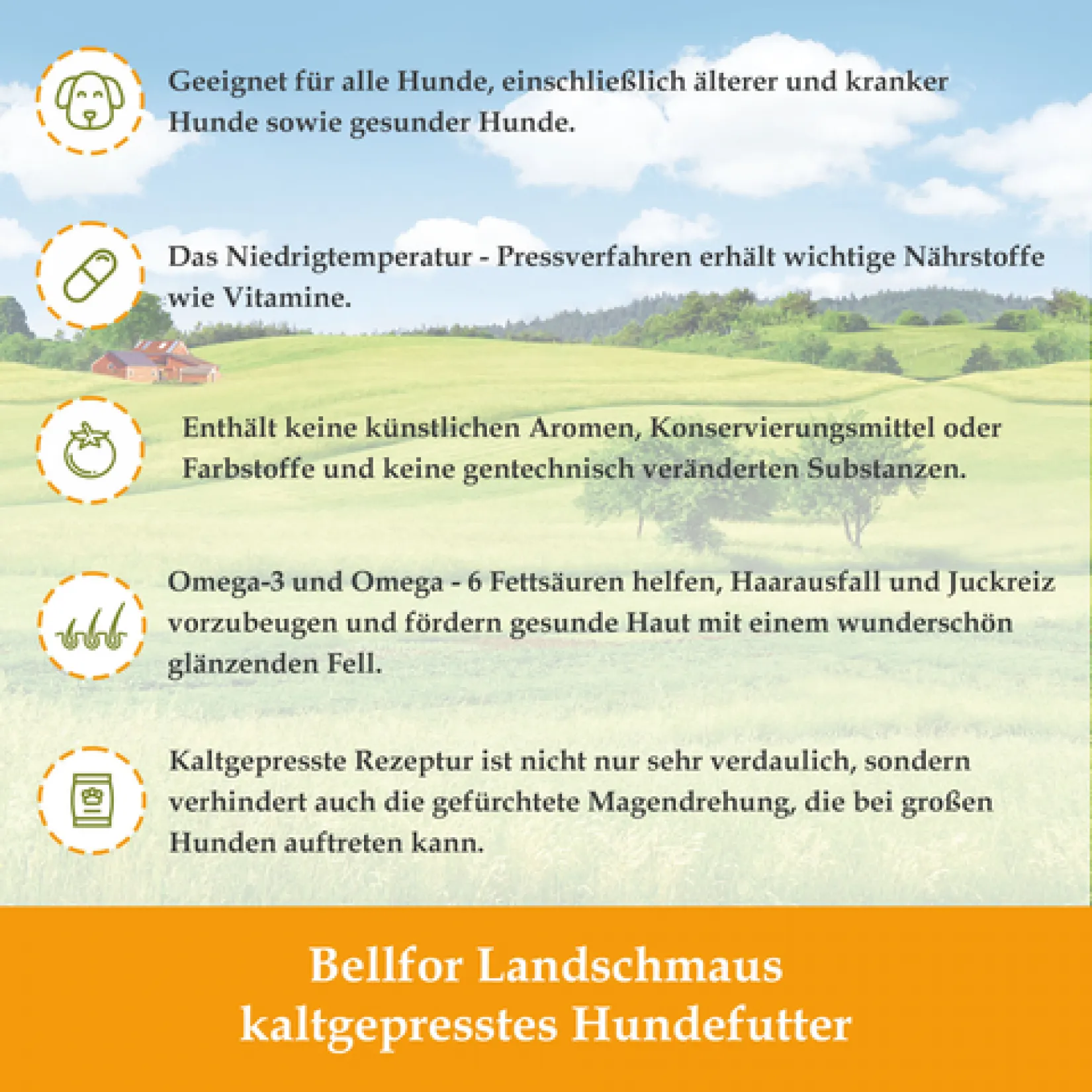 Getreidefreies Hundetrockenfutter mit Ente, 10 kg, Wildsee-Schmaus von Bellfor