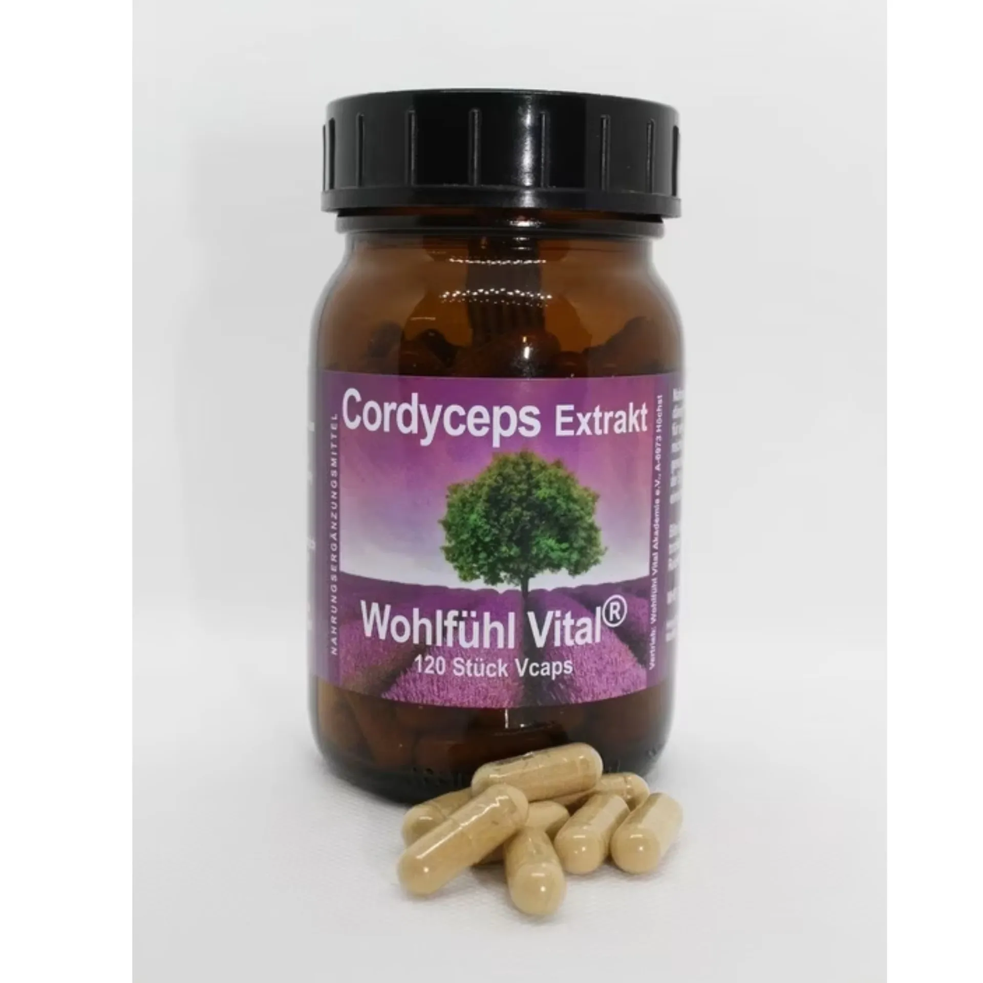 Cordyceps Extrakt, 120 Kapseln im Glas, von Wohlfühl Vital®