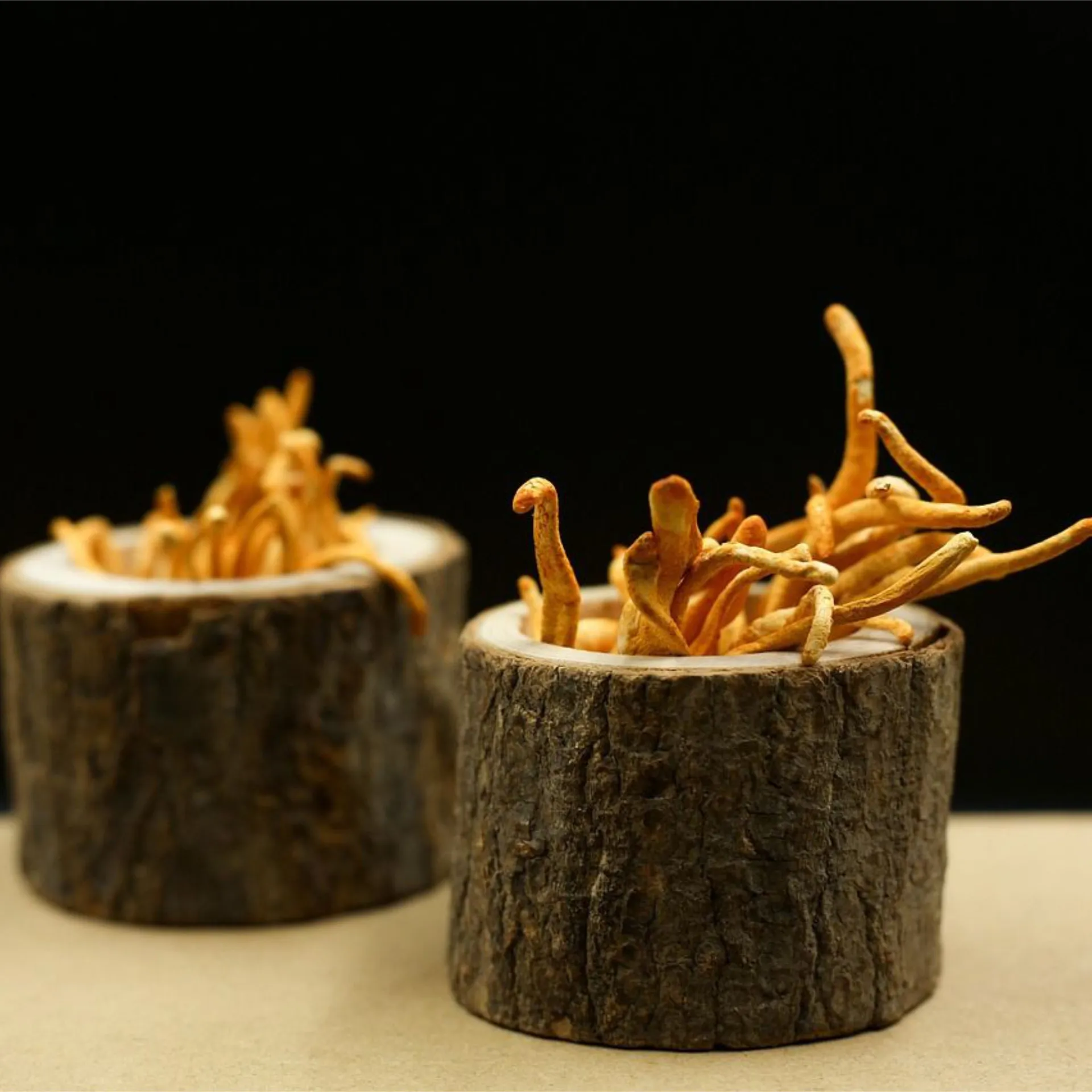 Cordyceps Extrakt, 120 Kapseln im Glas, von Wohlfühl Vital®
