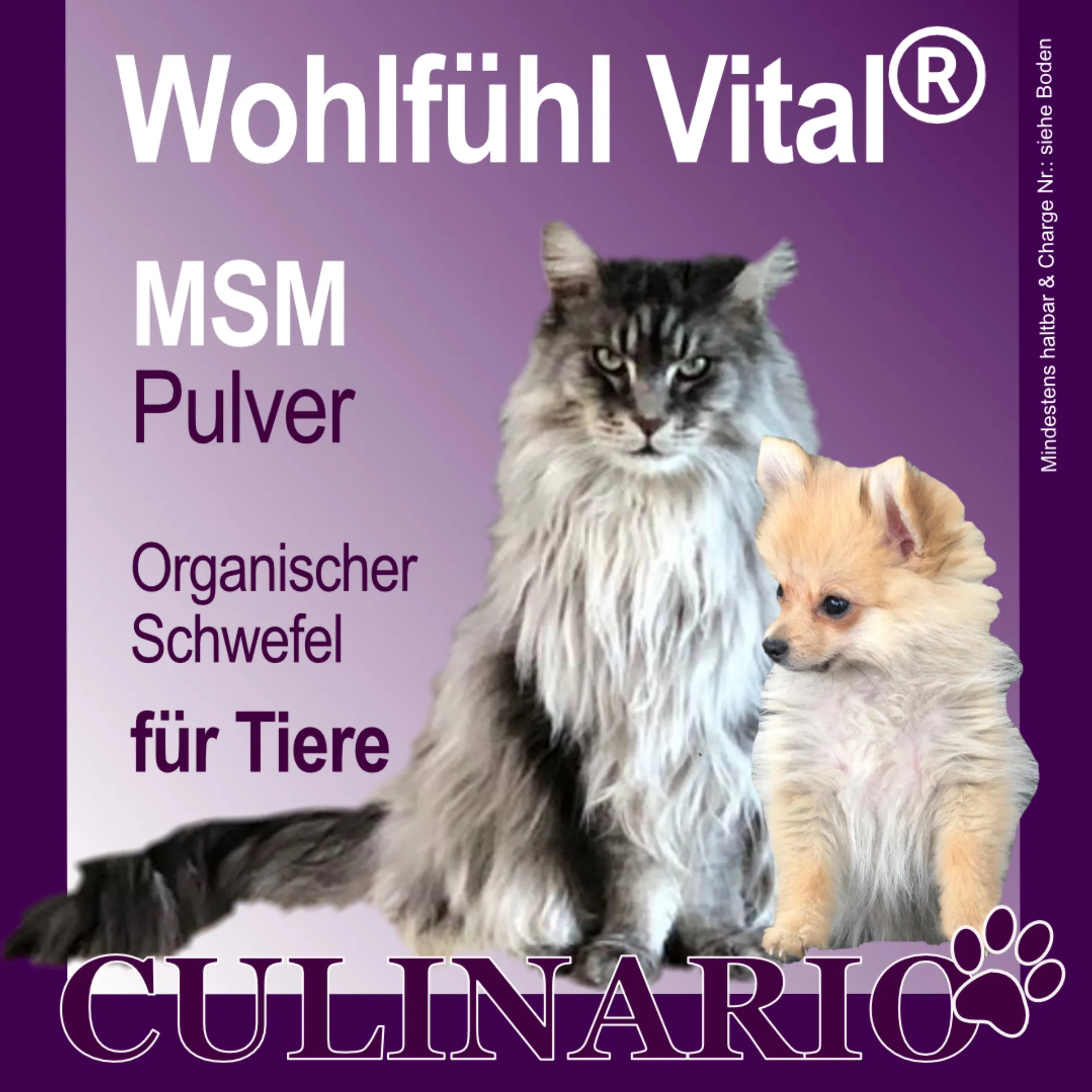 MSM für Tiere, 4 kg Dose, von Wohlfühl Vital®