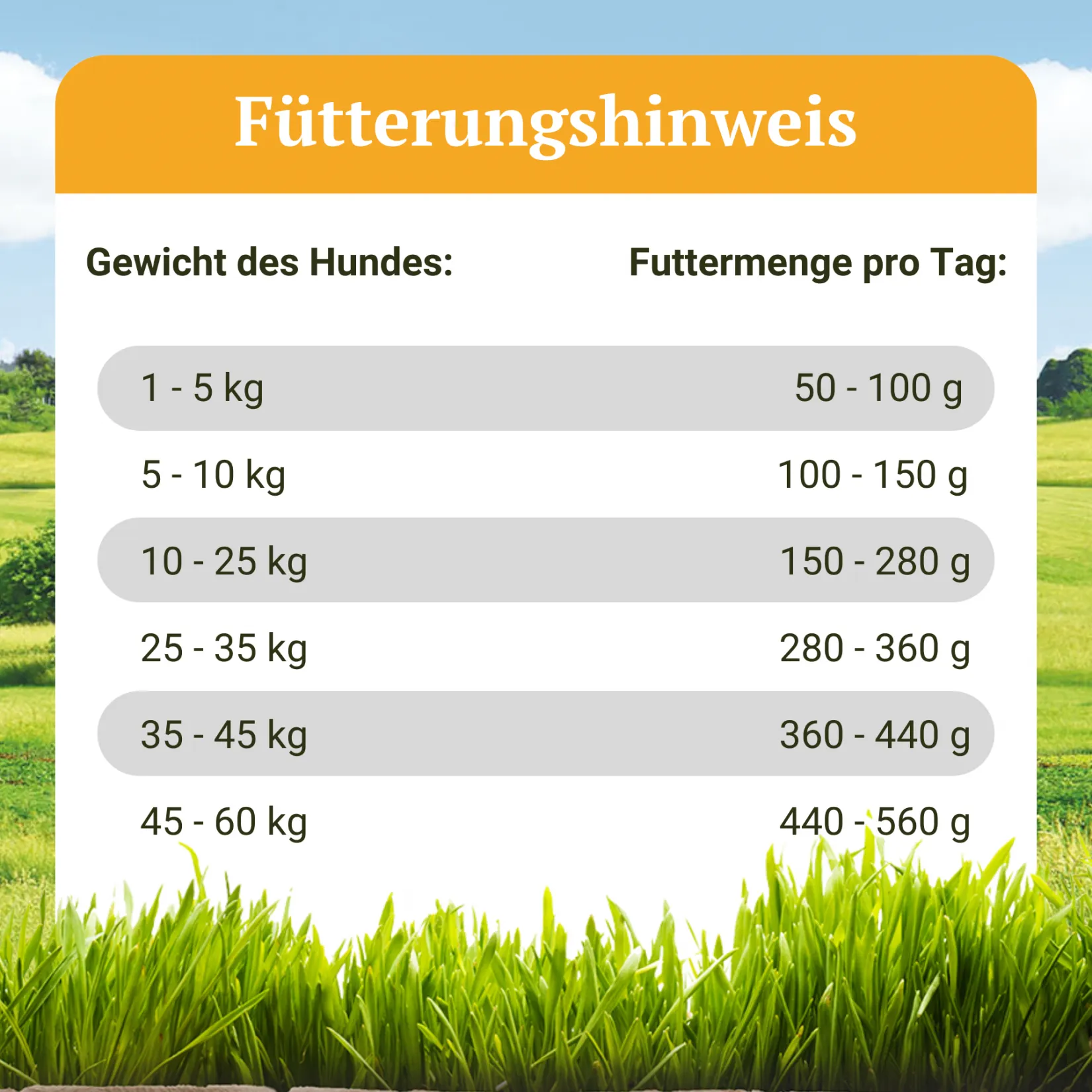Trockenfutter für Hunde mit Huhn, Truthahn & Entenfleisch Getreidefrei, 2,5 kg, Gutshof-Schmaus von Bellfor