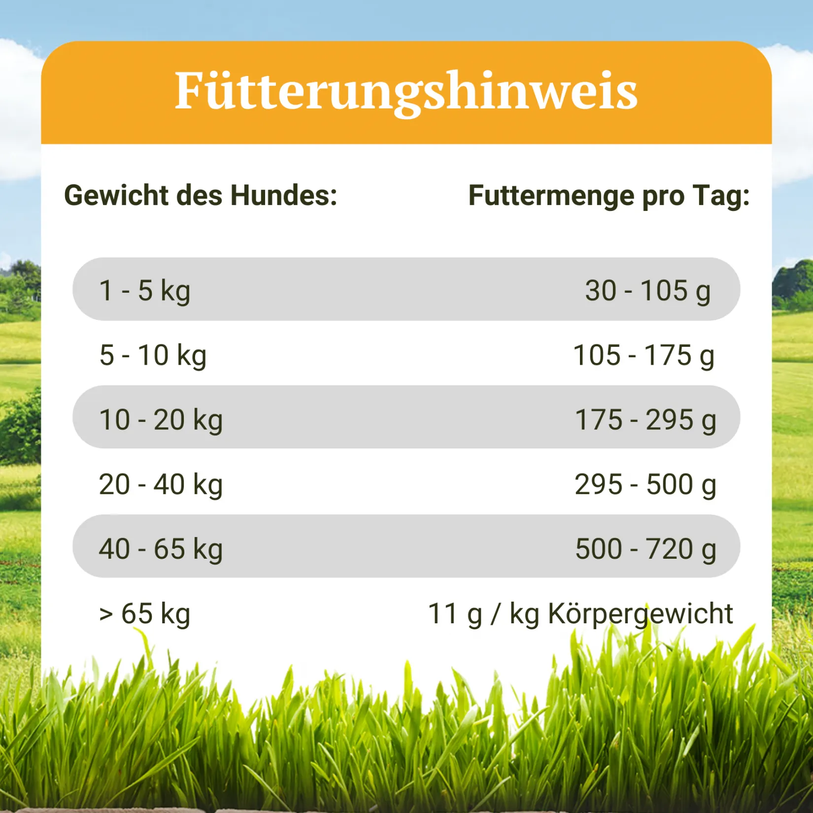 Getreidefreies Hundetrockenfutter mit Ente, 10 kg, Wildsee-Schmaus von Bellfor